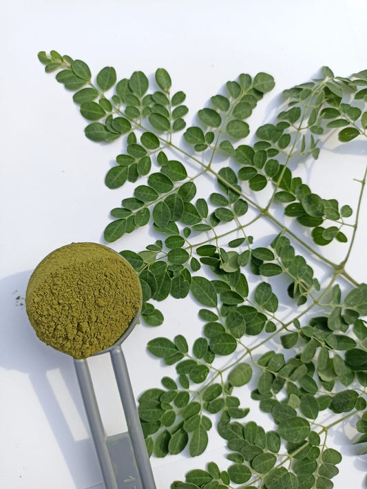 OhMyOrganics Moringa Leaves Powder pack with fresh moringa leaves displayed on a white background.
